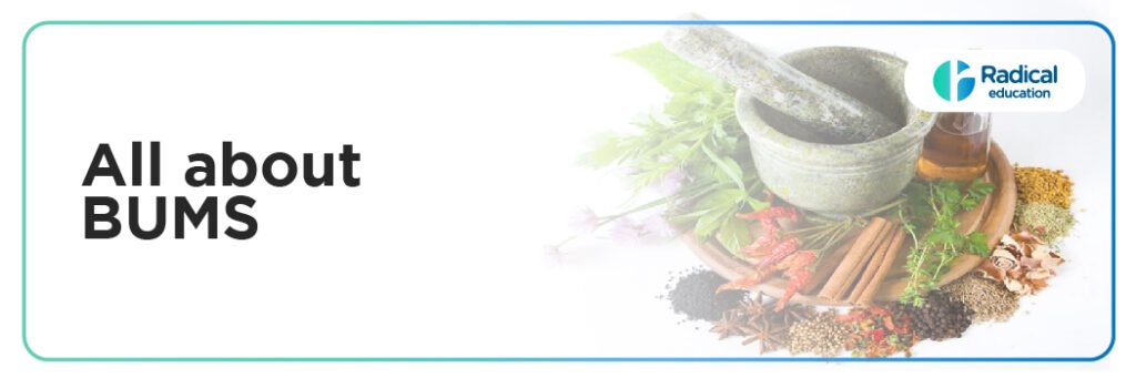 BUMS: A Complete Guide